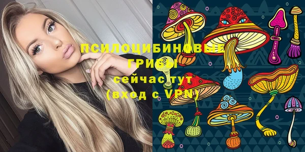 ПСИЛОЦИБИНОВЫЕ ГРИБЫ Беломорск