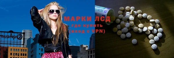 ПСИЛОЦИБИНОВЫЕ ГРИБЫ Беломорск