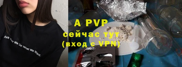 ПСИЛОЦИБИНОВЫЕ ГРИБЫ Беломорск