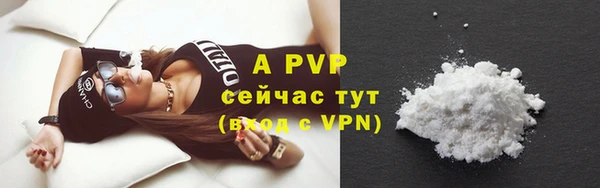 спиды Белокуриха