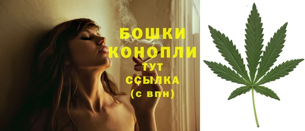 ПСИЛОЦИБИНОВЫЕ ГРИБЫ Беломорск