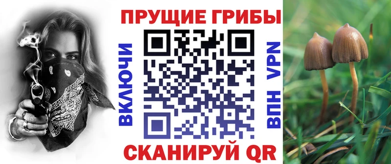 Галлюциногенные грибы Cubensis  ОМГ ОМГ рабочий сайт  Монино 
